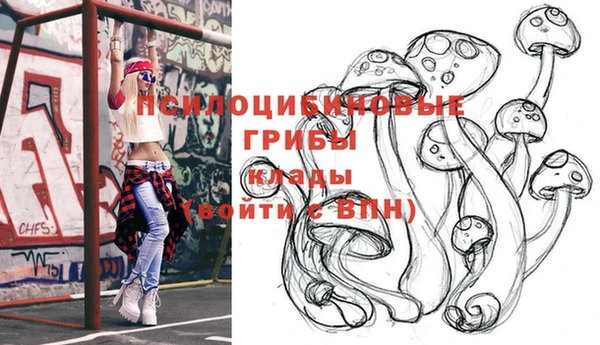 прущие крисы Киреевск